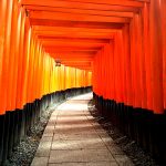 京都の赤い鳥居がいっぱい並んでいる神社の名前は？行き方や住所もご一緒に！