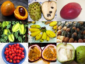 沖縄フルーツの旬を季節ごとに紹介！沖縄フルーツの美味しい食べ方もご一緒に！